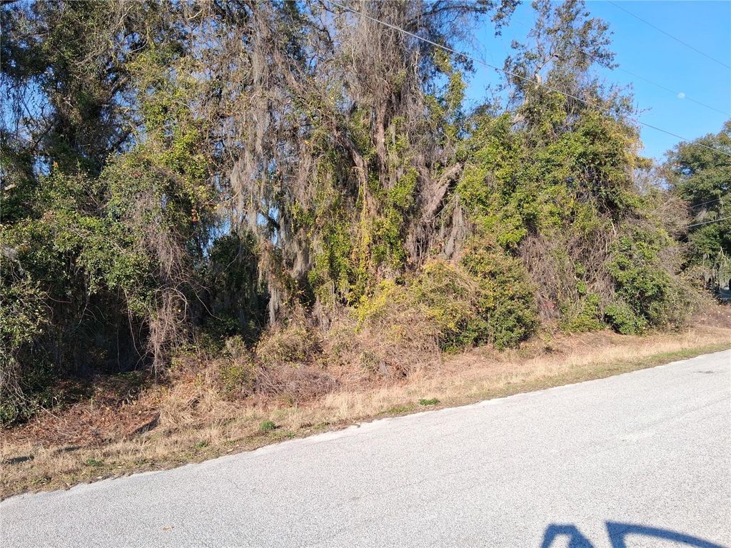MULBERRY STREET, Groveland, FL 34736