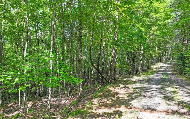 Lot 2 North View Drive, Mineral Bluff, GA 30559
