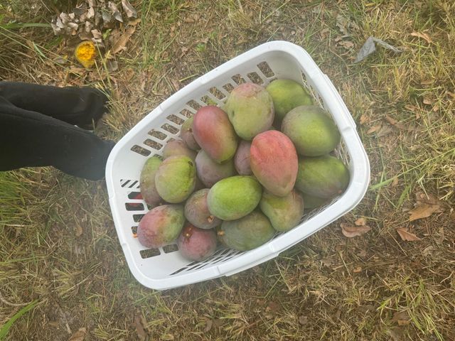 614 SW Lakehurst Drive, Port St Lucie, FL 34983