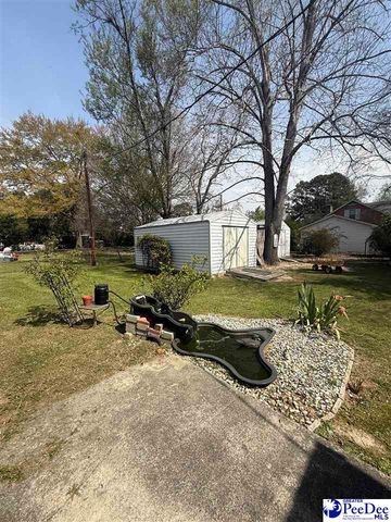 607 S 11th St, Hartsville, SC 29550