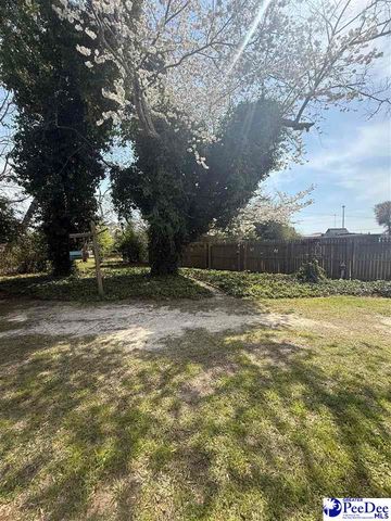 607 S 11th St, Hartsville, SC 29550