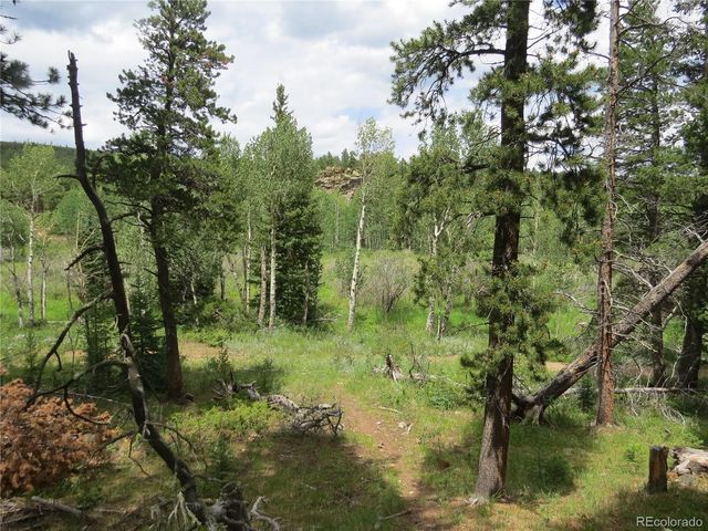 Peak to Peak Hwy, Nederland, CO 80466