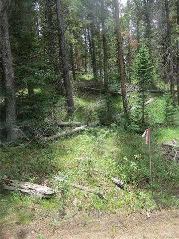 Peak to Peak Hwy, Nederland, CO 80466