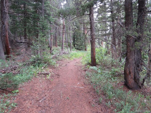 Peak to Peak Hwy, Nederland, CO 80466