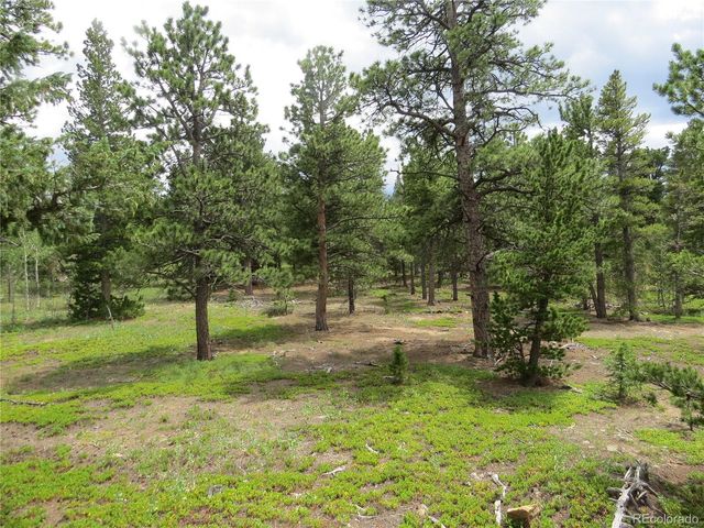 Peak to Peak Hwy, Nederland, CO 80466