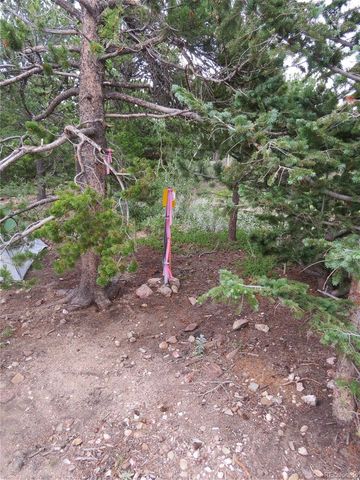 Peak to Peak Hwy, Nederland, CO 80466