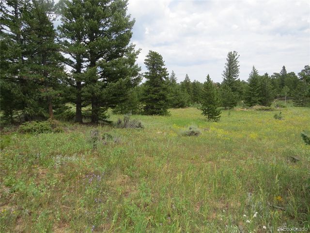 Peak to Peak Hwy, Nederland, CO 80466