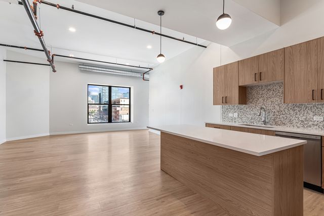 805 N Milwaukee Avenue 4S, Chicago, IL 60642