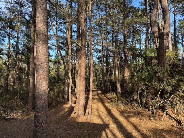 31483 N Us Hwy 69, Zavalla, TX 75980