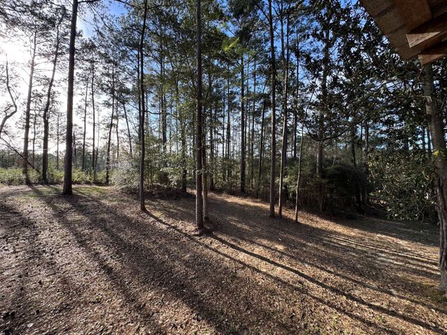 31483 N Us Hwy 69, Zavalla, TX 75980