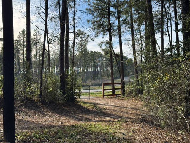 31483 N Us Hwy 69, Zavalla, TX 75980