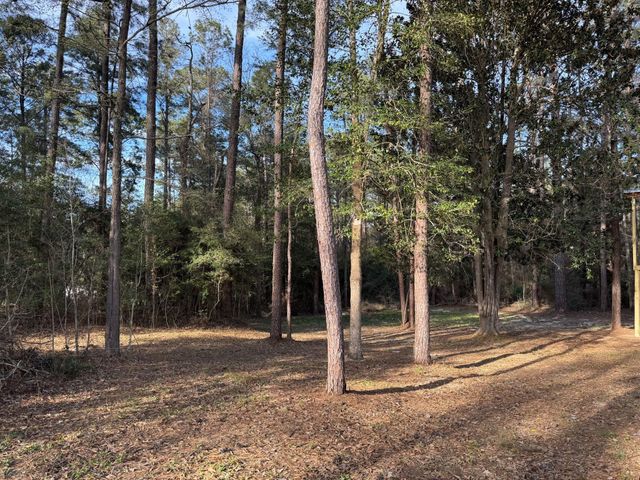 31483 N Us Hwy 69, Zavalla, TX 75980