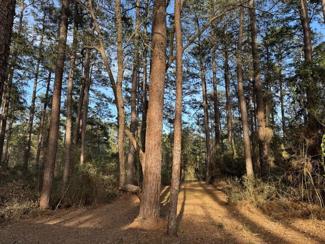 31483 N Us Hwy 69, Zavalla, TX 75980