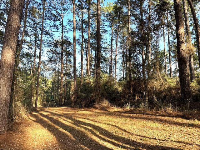 31483 N Us Hwy 69, Zavalla, TX 75980