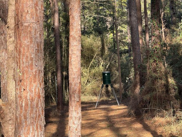 31483 N Us Hwy 69, Zavalla, TX 75980