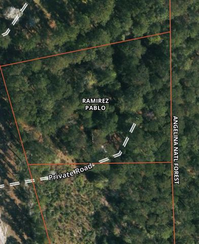 31483 N Us Hwy 69, Zavalla, TX 75980