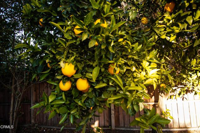 1781 El Monte Drive, Thousand Oaks, CA 91362