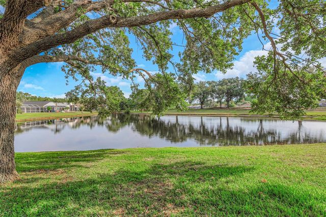 18836 MAISONS DRIVE, Lutz, FL 33558