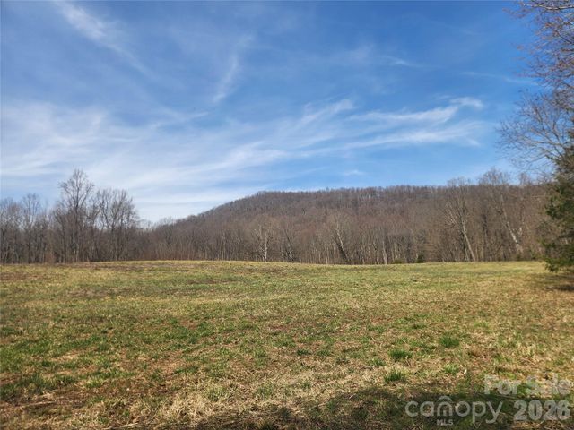 363 Center Church Road, Hiddenite, NC 28636