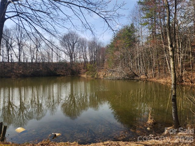 363 Center Church Road, Hiddenite, NC 28636