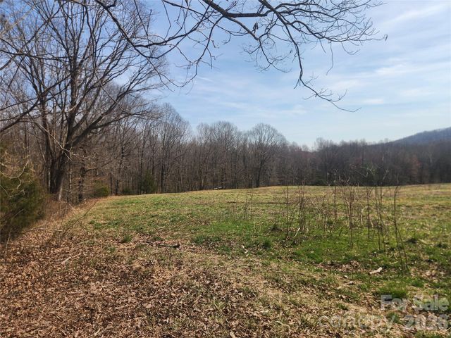 363 Center Church Road, Hiddenite, NC 28636