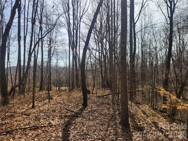 363 Center Church Road, Hiddenite, NC 28636