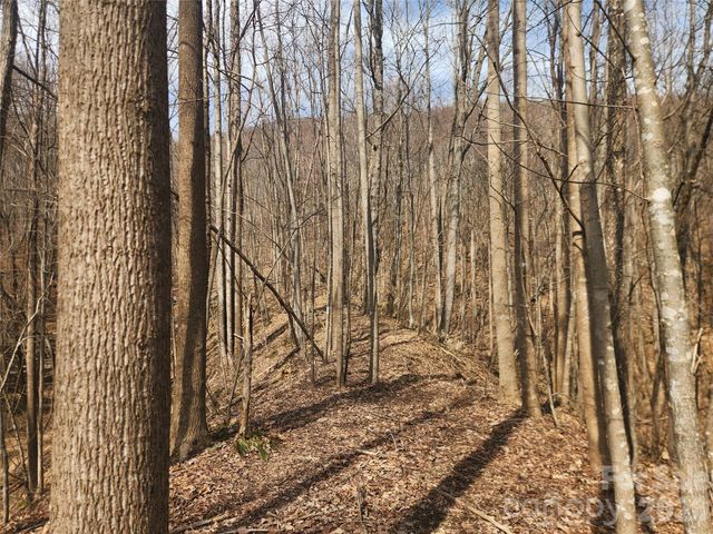 363 Center Church Road, Hiddenite, NC 28636