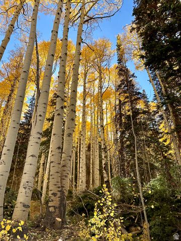 45 OAK CREST DRIVE, Mt Pleasant, UT 84647