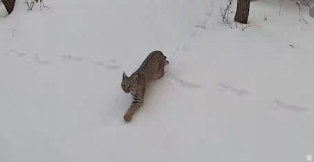 45 OAK CREST DRIVE, Mt Pleasant, UT 84647