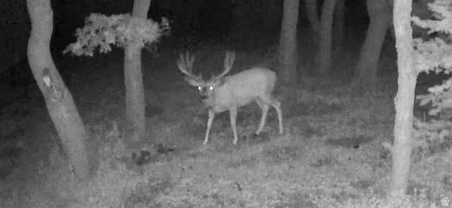 45 OAK CREST DRIVE, Mt Pleasant, UT 84647