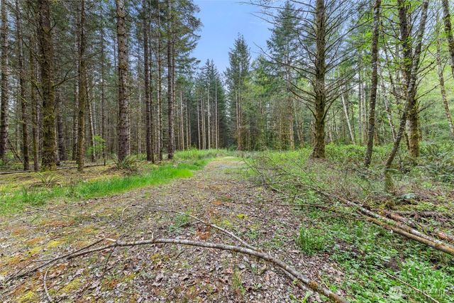 14439 Kayson Lane SE, Tenino, WA 98589