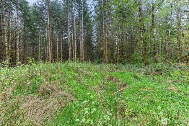 14439 Kayson Lane SE, Tenino, WA 98589