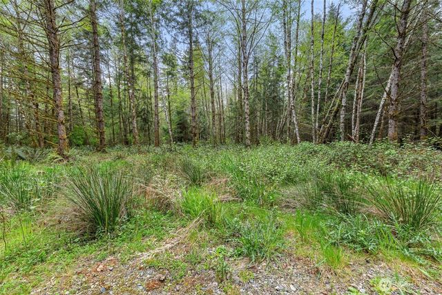 14439 Kayson Lane SE, Tenino, WA 98589