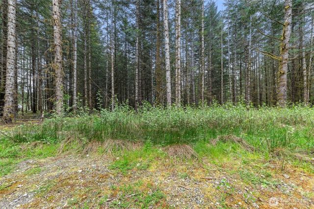14439 Kayson Lane SE, Tenino, WA 98589