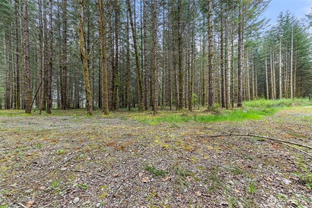 14439 Kayson Lane SE, Tenino, WA 98589