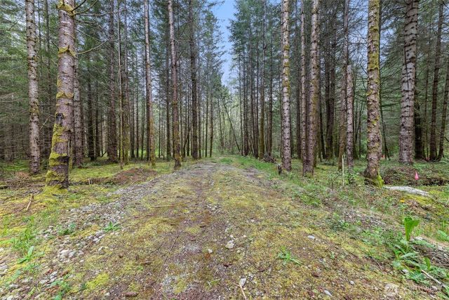 14439 Kayson Lane SE, Tenino, WA 98589