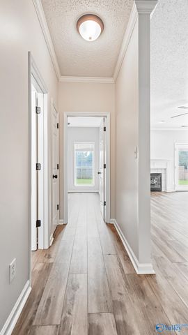 171 Garden Brook Drive, Madison, AL 35758