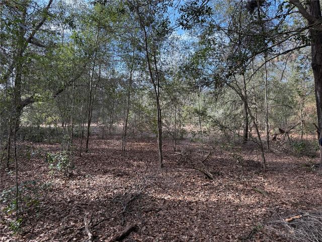 SE 92ND COURT, Belleview, FL 34420