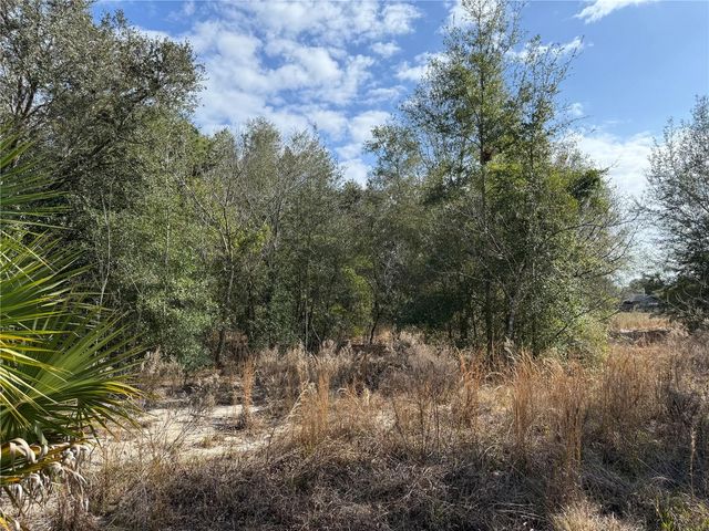 SE 92ND COURT, Belleview, FL 34420