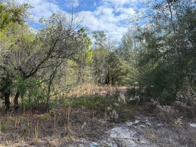 SE 92ND COURT, Belleview, FL 34420