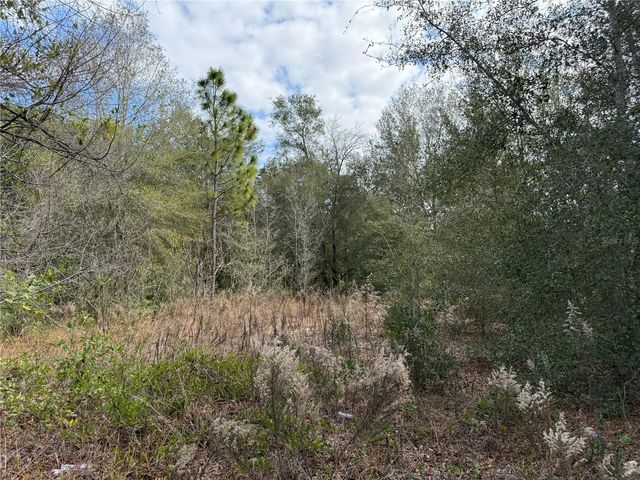 SE 92ND COURT, Belleview, FL 34420