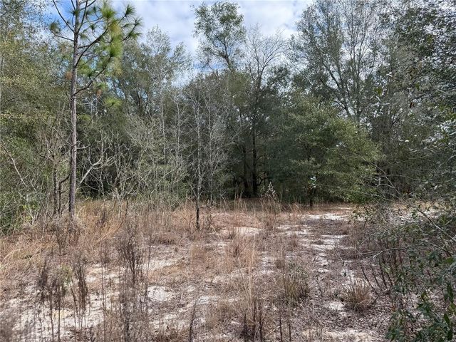 SE 92ND COURT, Belleview, FL 34420