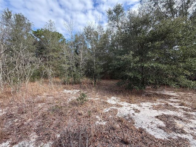 SE 92ND COURT, Belleview, FL 34420