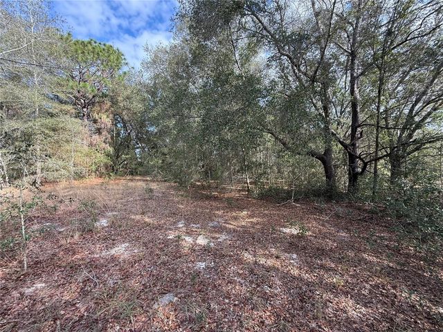 SE 92ND COURT, Belleview, FL 34420