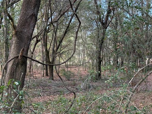 SE 92ND COURT, Belleview, FL 34420