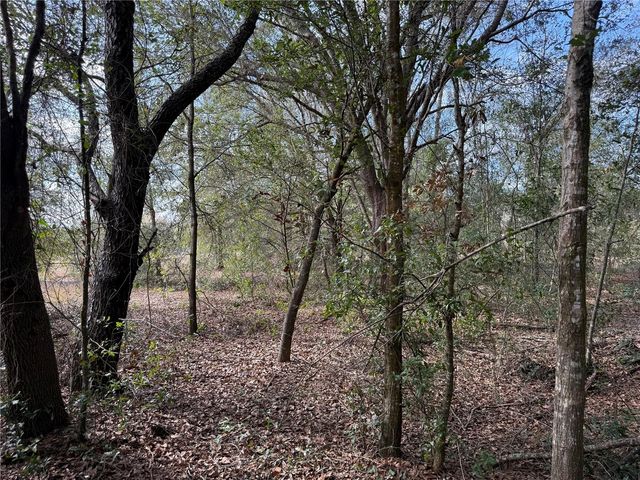 SE 92ND COURT, Belleview, FL 34420