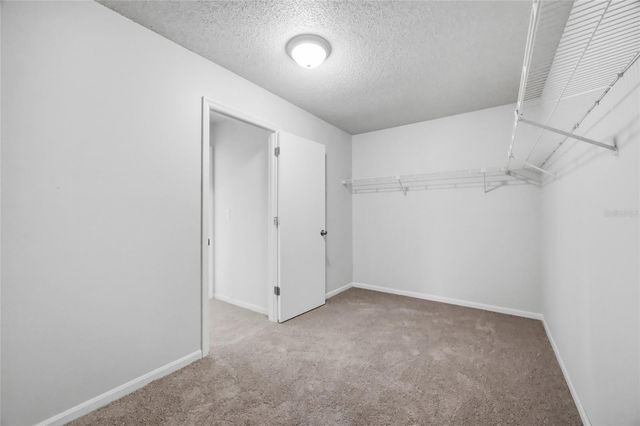 1441 MONTE LAKE DRIVE, Valrico, FL 33596