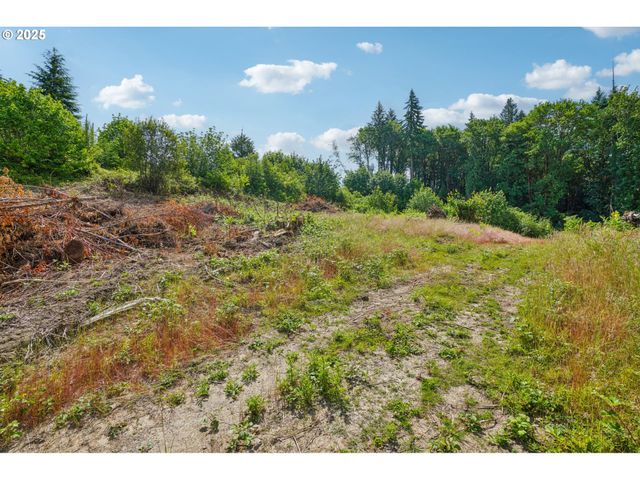 1830 Hazel Dell Rd Lot 4, Castle Rock, WA 98611