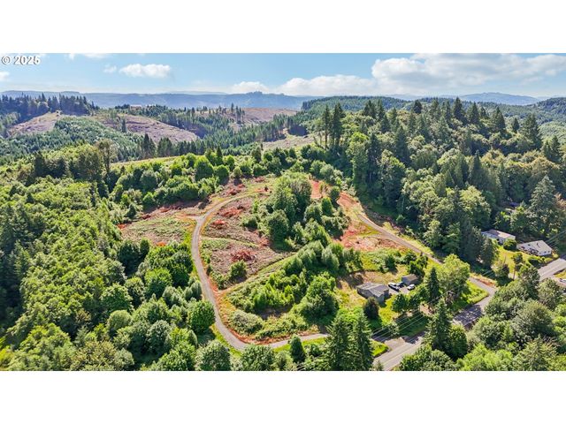1830 Hazel Dell Rd Lot 4, Castle Rock, WA 98611
