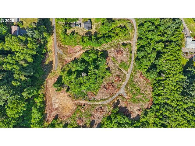 1830 Hazel Dell Rd Lot 4, Castle Rock, WA 98611